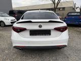 Alfa Romeo Giulia bei Reisemobile.expert - Abbildung (5 / 12)