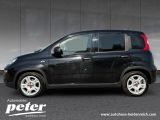 Fiat Panda bei Reisemobile.expert - Abbildung (3 / 15)