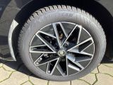 Skoda Octavia bei Reisemobile.expert - Abbildung (12 / 15)