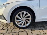 Skoda Octavia bei Reisemobile.expert - Abbildung (13 / 15)