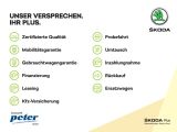 Skoda Octavia bei Reisemobile.expert - Abbildung (6 / 15)