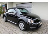 VW Beetle bei Reisemobile.expert - Abbildung (2 / 15)