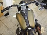 Harley-Davidson Softail bei Reisemobile.expert - Abbildung (7 / 11)