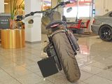 Harley-Davidson Softail bei Reisemobile.expert - Abbildung (6 / 11)