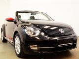 VW Beetle bei Reisemobile.expert - Abbildung (4 / 15)