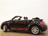 VW Beetle bei Reisemobile.expert - Abbildung (3 / 15)