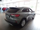 Ford Kuga bei Reisemobile.expert - Abbildung (4 / 15)