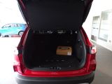 Ford Kuga bei Reisemobile.expert - Abbildung (8 / 15)