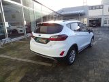 Ford Fiesta bei Reisemobile.expert - Abbildung (4 / 15)