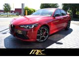 Alfa Romeo Giulia bei Reisemobile.expert - Abbildung (4 / 10)