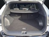 Kia Sportage bei Reisemobile.expert - Abbildung (15 / 15)