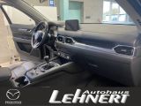 Mazda CX 5 bei Reisemobile.expert - Abbildung (4 / 7)