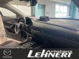 Mazda CX-30 bei Reisemobile.expert - Abbildung (4 / 7)