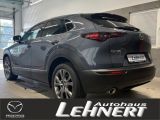 Mazda CX-30 bei Reisemobile.expert - Abbildung (2 / 7)