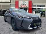 Lexus UX bei Reisemobile.expert - Abbildung (8 / 15)