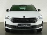 Skoda Octavia bei Reisemobile.expert - Abbildung (4 / 15)