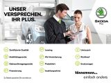 Skoda Karoq bei Reisemobile.expert - Abbildung (15 / 15)