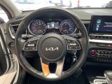 Kia XCeed bei Reisemobile.expert - Abbildung (8 / 15)