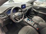 Ford Kuga bei Reisemobile.expert - Abbildung (5 / 15) Ford Kuga bei Reisemobile.expert - Abbildung (5 / 15)