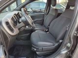 Fiat Panda bei Reisemobile.expert - Abbildung (11 / 13)