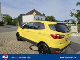 Ford EcoSport bei Reisemobile.expert - Abbildung (5 / 15)