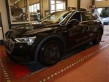 Audi e-tron bei Reisemobile.expert - Abbildung (2 / 11)