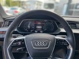 Audi e-tron bei Reisemobile.expert - Abbildung (8 / 12)