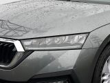 Skoda Octavia bei Reisemobile.expert - Abbildung (5 / 12)