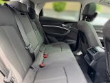 Audi e-tron bei Reisemobile.expert - Abbildung (11 / 15)