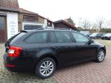 Skoda Octavia bei Reisemobile.expert - Abbildung (4 / 10)