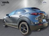 Mazda CX-30 bei Reisemobile.expert - Abbildung (3 / 15)