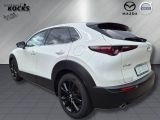 Mazda CX-30 bei Reisemobile.expert - Abbildung (3 / 15)