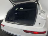 Audi SQ5 bei Reisemobile.expert - Abbildung (8 / 15) Audi SQ5 bei Reisemobile.expert - Abbildung (8 / 15)
