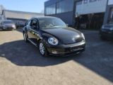 VW Beetle bei Reisemobile.expert - Abbildung (3 / 12)