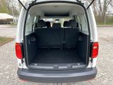 VW Caddy bei Reisemobile.expert - Abbildung (9 / 10)