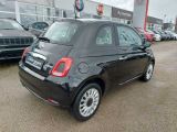 Fiat 500 bei Reisemobile.expert - Abbildung (4 / 14)