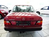 Mercedes-Benz 260 bei Reisemobile.expert - Abbildung (5 / 15)