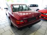 Mercedes-Benz 260 bei Reisemobile.expert - Abbildung (4 / 15)