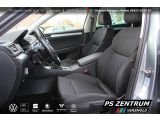 Skoda Superb bei Reisemobile.expert - Abbildung (14 / 15)