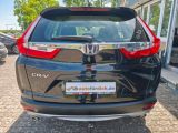 Honda CR-V bei Reisemobile.expert - Abbildung (5 / 15)