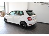 Skoda Fabia bei Reisemobile.expert - Abbildung (5 / 15)