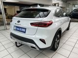 Kia XCeed bei Reisemobile.expert - Abbildung (5 / 15)