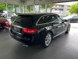 Mercedes-Benz C-Klasse bei Reisemobile.expert - Abbildung (6 / 15)