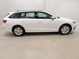 Skoda Octavia bei Reisemobile.expert - Abbildung (7 / 15)
