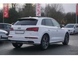 Audi Q5 bei Reisemobile.expert - Abbildung (5 / 15)